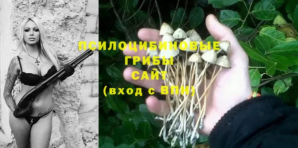 круглые Козельск
