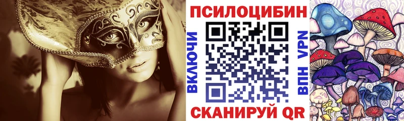 цена   Кувандык  Галлюциногенные грибы Psilocybe 
